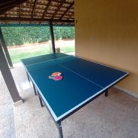 Mesa de Ping Pong oficial Procópio - 15mm MDF